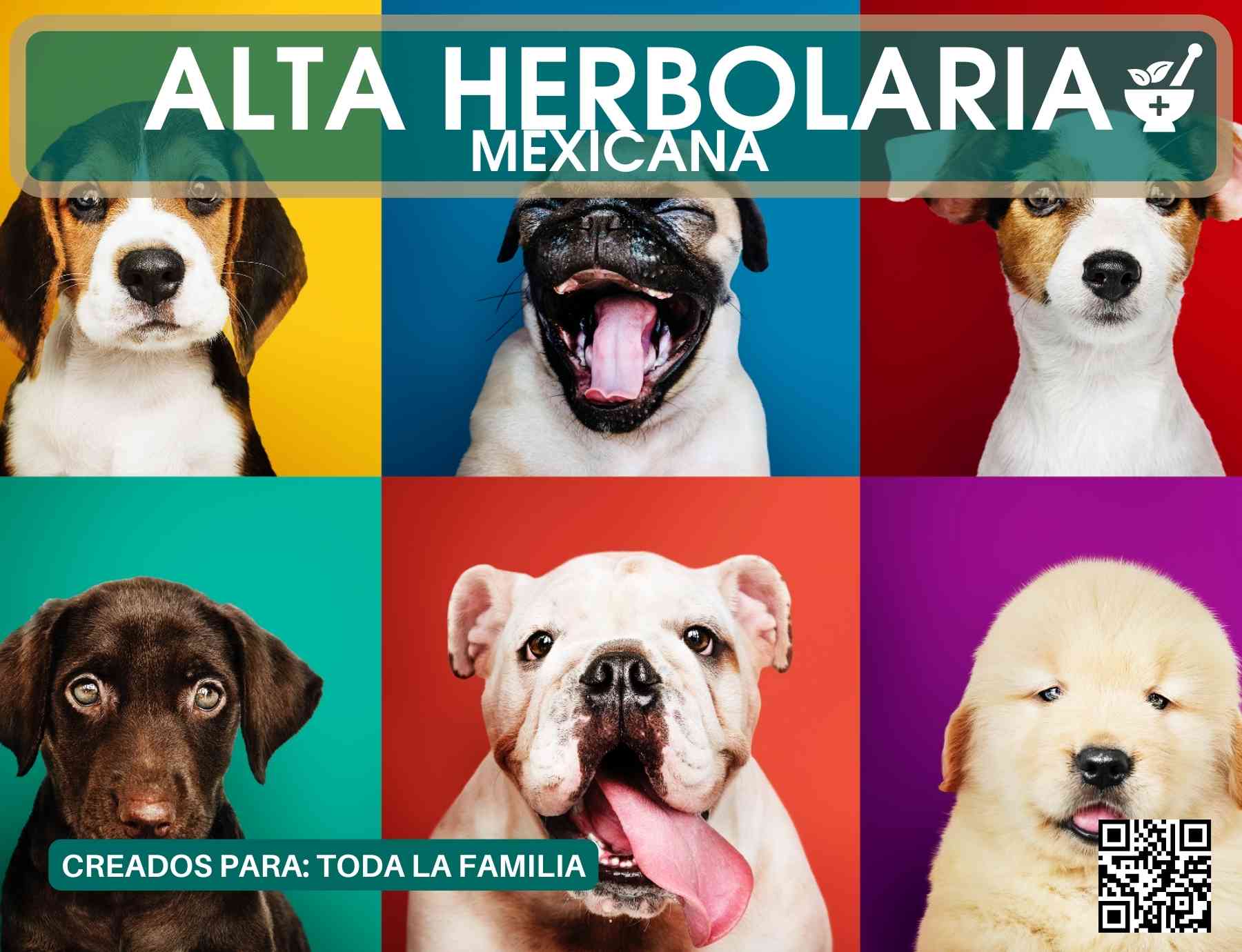Botiquín de Alta Herbolaria Mexicana 100% Natural 